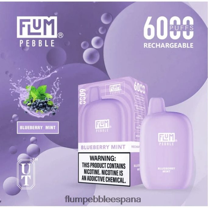 FLUM PEBBLES 6000 bocanadas menta de arándanos 4T66NJ17 FLUM PEBBLE vape flavors