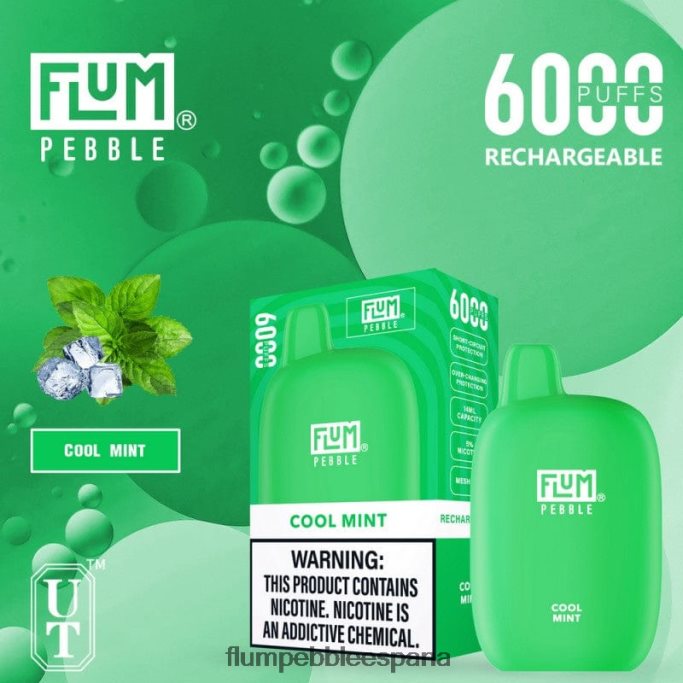 FLUM PEBBLES 6000 bocanadas menta fresca 4T66NJ24 FLUM PEBBLE precio